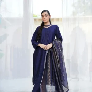 Embroidered Navy Kurta Set